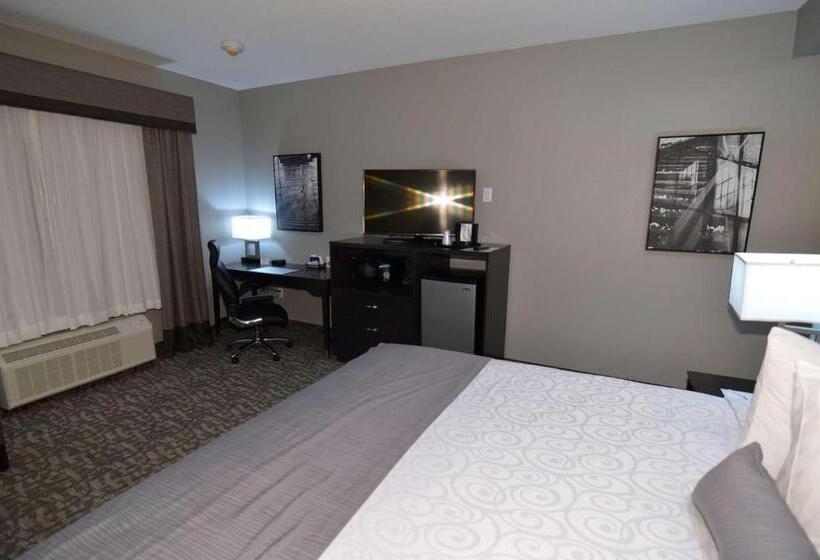 스위트 킹사이즈 침대, Best Western Plus Bay City Inn & Suites