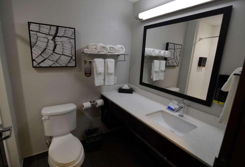 스위트, Best Western Plus Bay City Inn & Suites
