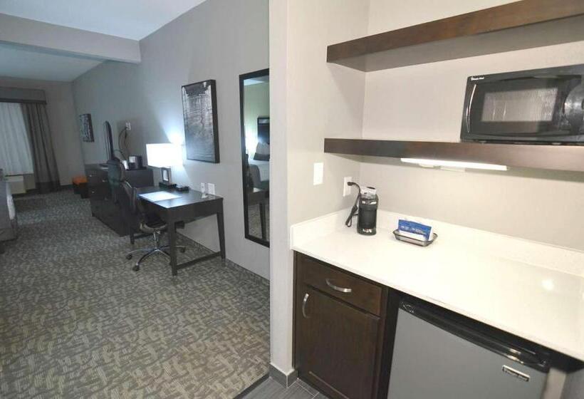 스위트, Best Western Plus Bay City Inn & Suites