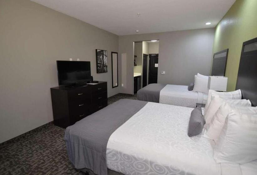 장애인을 위한 스탠다드 룸, Best Western Plus Bay City Inn & Suites