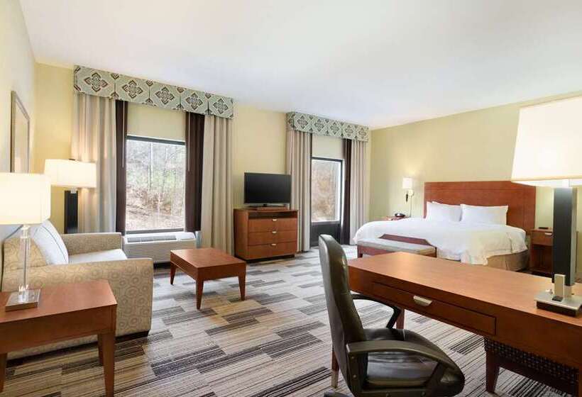Студио Стандарт Кровать Кинг, Hampton Inn & Suites Menomonie Uw Stout