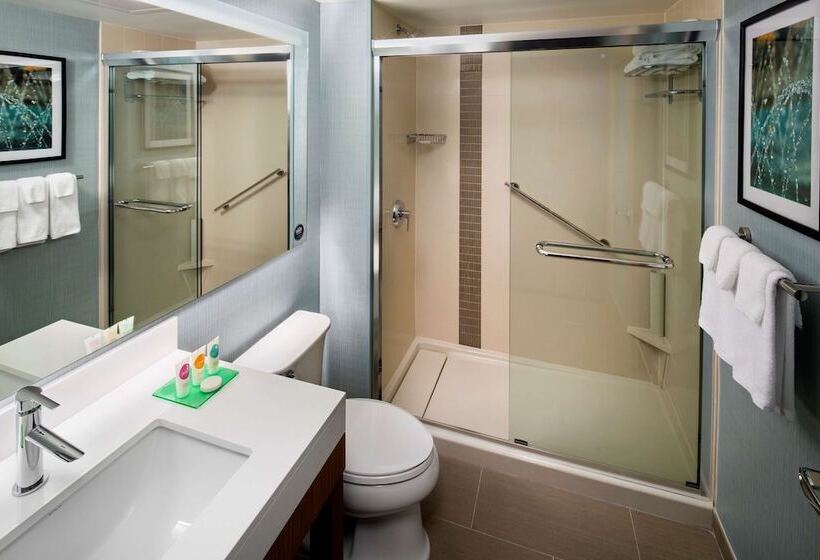 سوئیت با تخت بزرگ, Hyatt Place Long Island City/new York City