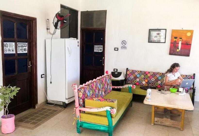 اتاق استاندارد با تخت‌های تاشو, Deep Blue Divers Hostel Dahab