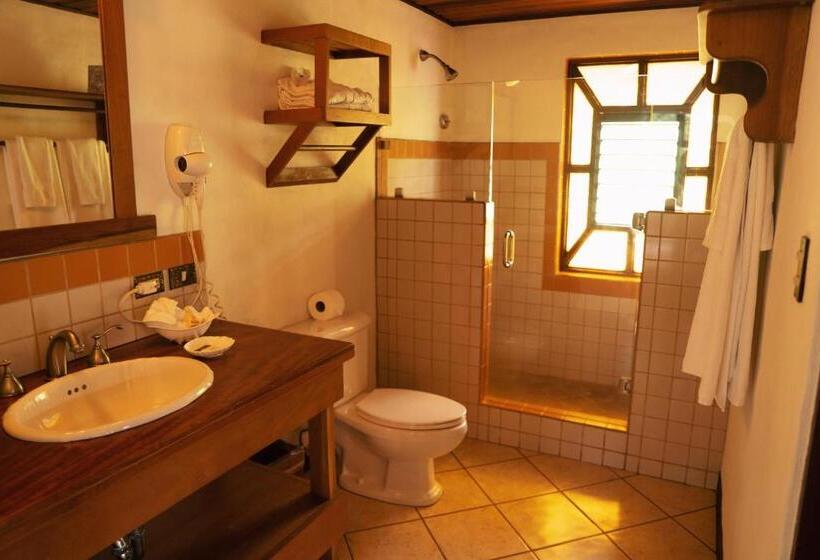 Номер Стандарт Адаптированный для Инвалидов, Villa Blanca Cloud Forest Hotel & Retreat