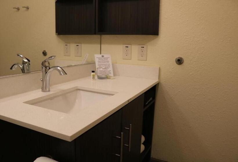 Студио Стандарт Кровать Кинг, Candlewood Suites Nashville   Goodlettsville, An Ihg