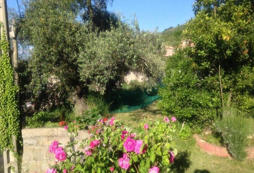 Номер Стандарт Вид на Сад, Les Calanques