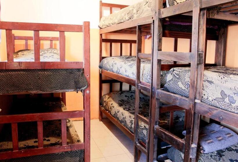 ルームシェアのワンベッド, Tierra Andina Hostel