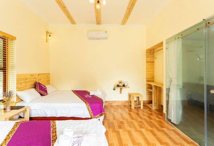 اتاق استاندارد چهار تخته, Tam Coc Lavender Homestay