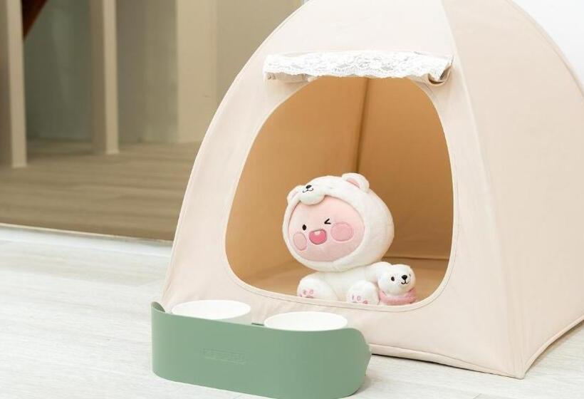 Студия Стандарт, Gapyeong Daengdaengi Dog Pension Silver
