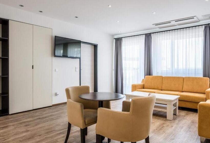 带露台的套间, Rheincity Hotel & Boardinghouse