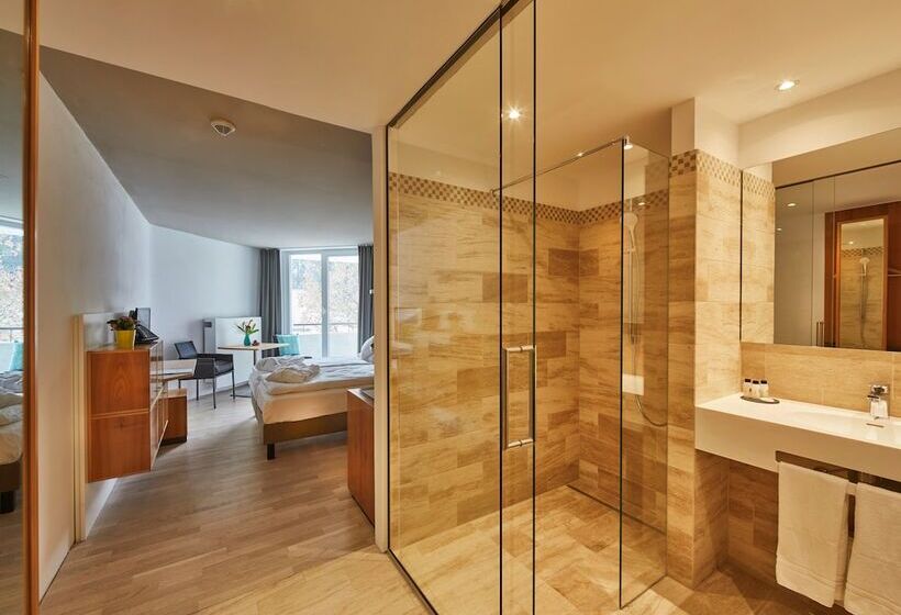 싱글 기본룸, Elzland Hotel Pfauen Wellness & Spa
