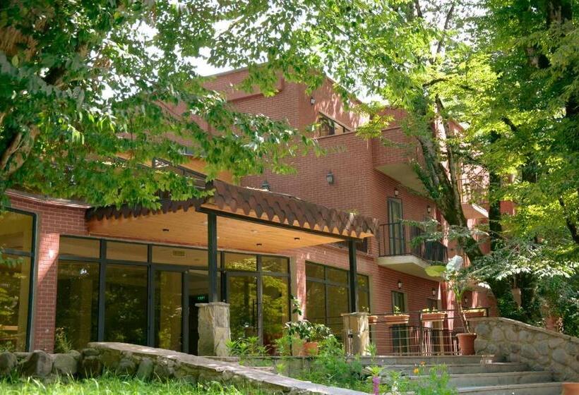 غرفة سوبيريور, Wald Hotel Lagodekhi Rooms