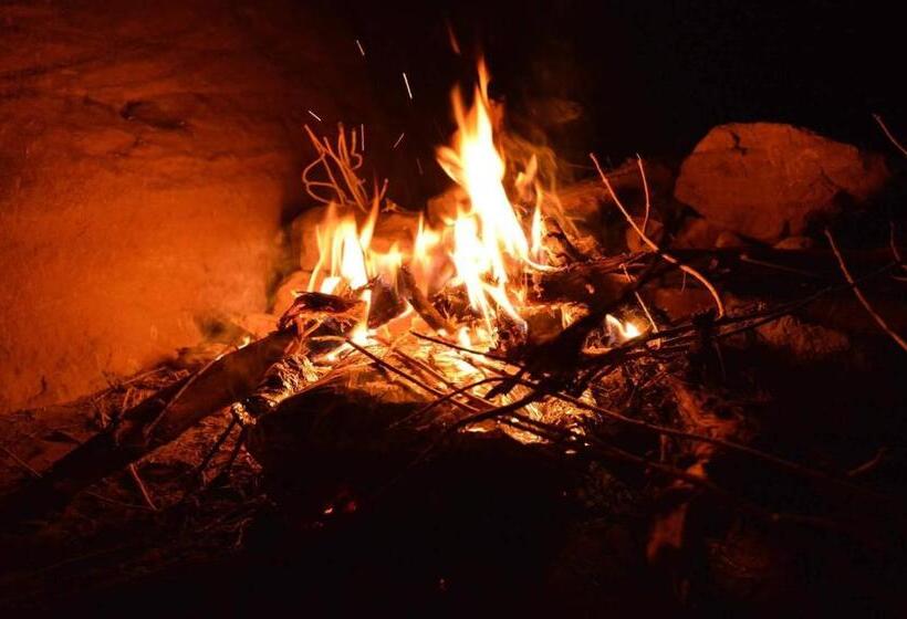 اتاق استاندارد سه نفره, Petra Bedouin Bed And Breakfast