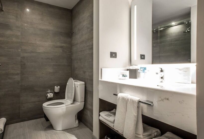 غرفه قياسيه سريرين مزدوجين, Four Points By Sheraton Puebla