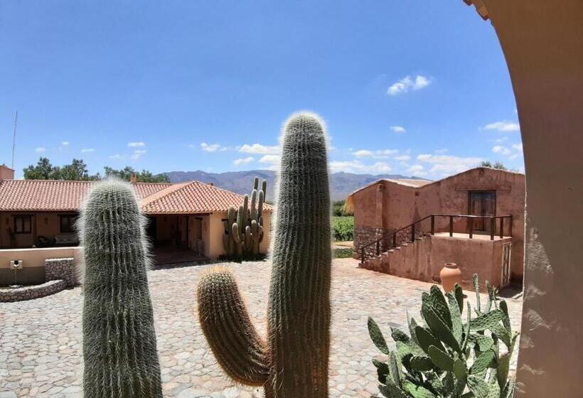 패밀리 룸, Estancia Colome