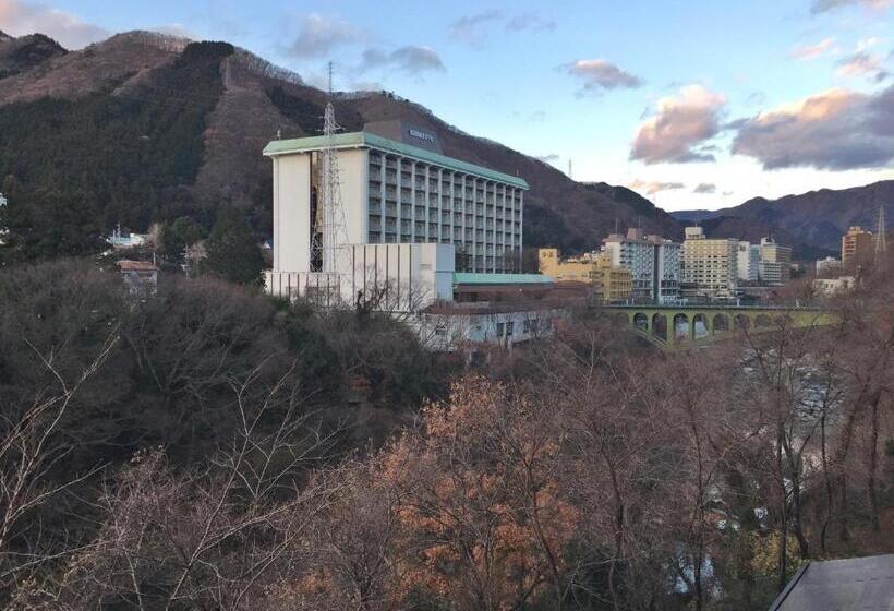 Семейный Номер, Itoen Hotel New Sakura