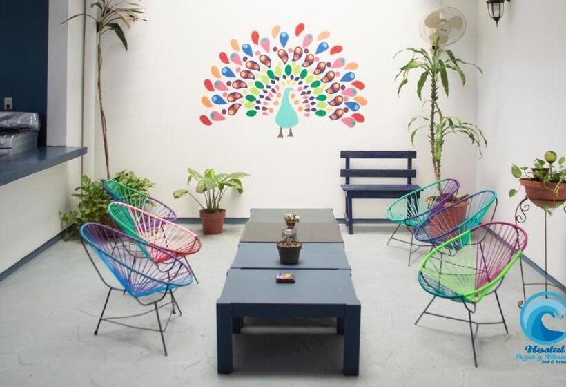 ファミリールーム, Hostal Azul Y Blanco