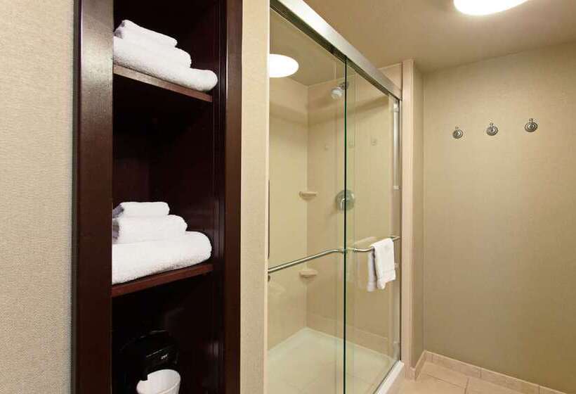 Стандартный Номер Кровать Кинг, Hampton Inn San Marcos, Ca