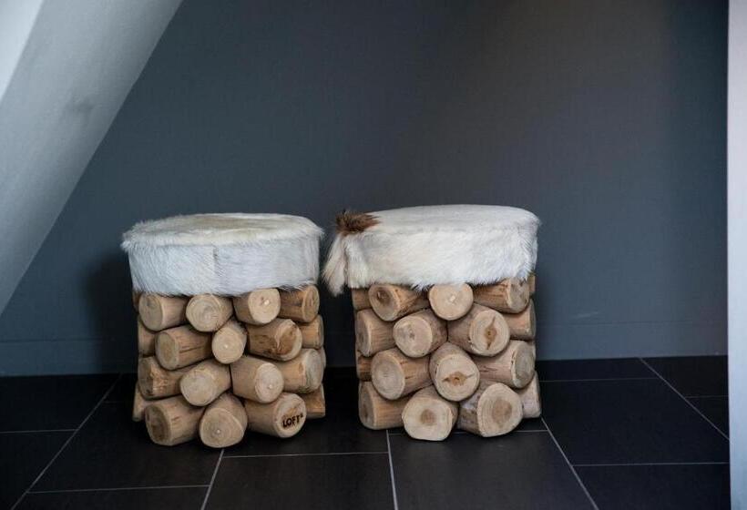 اتاق اکونومی یک تخته, De Roos Leeuwarden