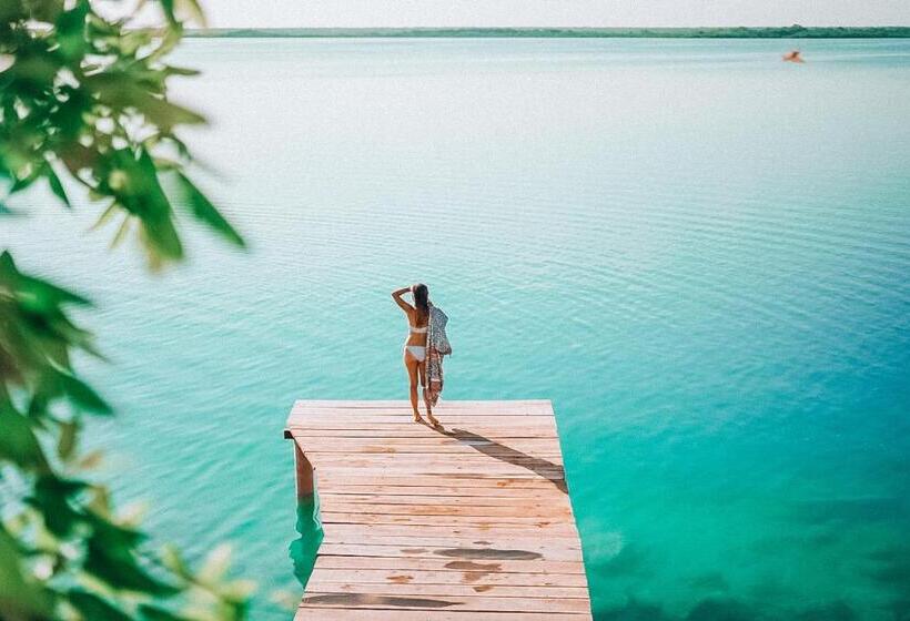 Suite Cama King, Awazul Bacalar
