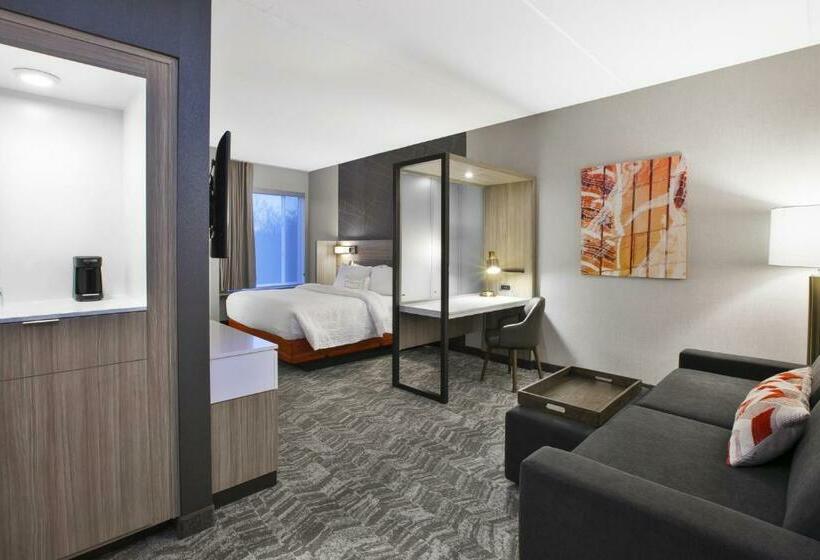Студио Стандарт Кровать Кинг, Springhill Suites By Marriott Chattanooga North/ooltewah