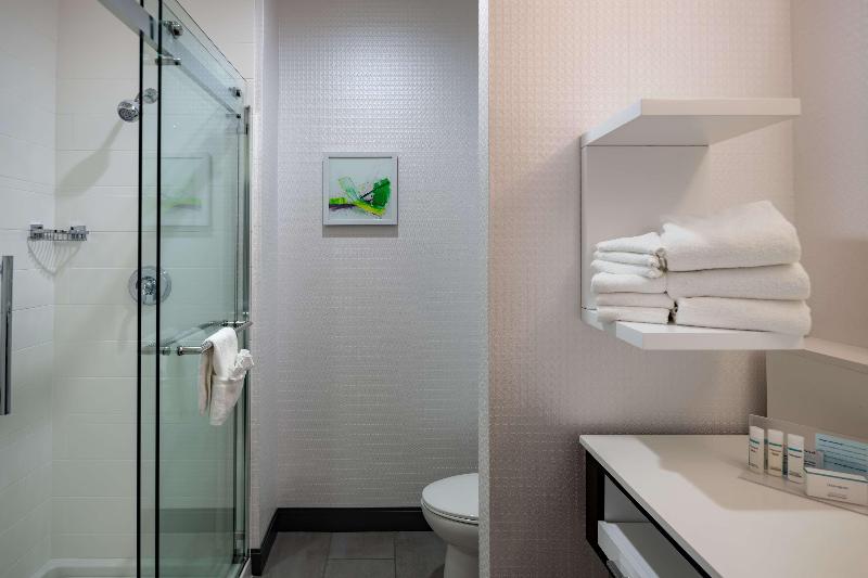Стандартный Номер Кровать Кинг, Hampton Inn & Suites Dallas/plano Central