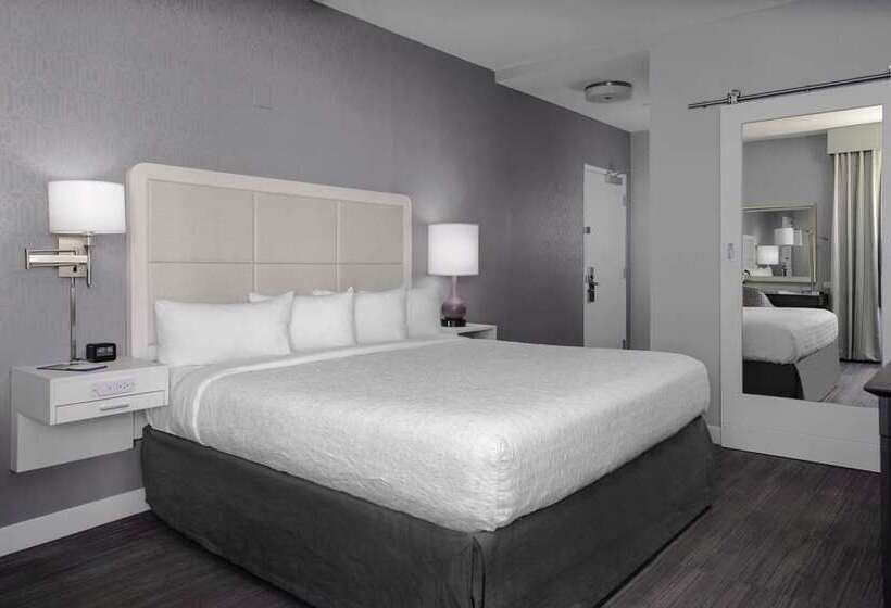Chambre Standard, Continental Miami Beach, Tapestry Collection By Hilton