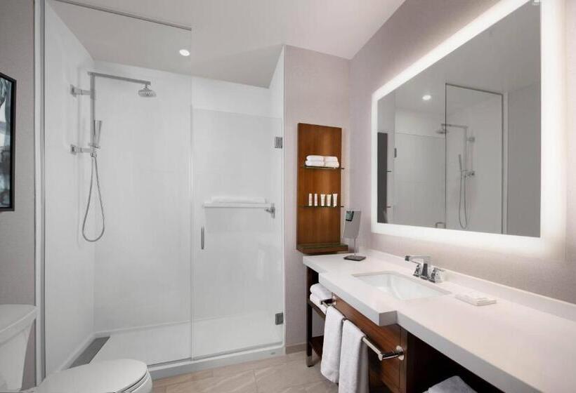 חדר סטנדרט מותאם לאדם עם מוגבלויות, Marriott Dallas Allen Hotel & Convention Center