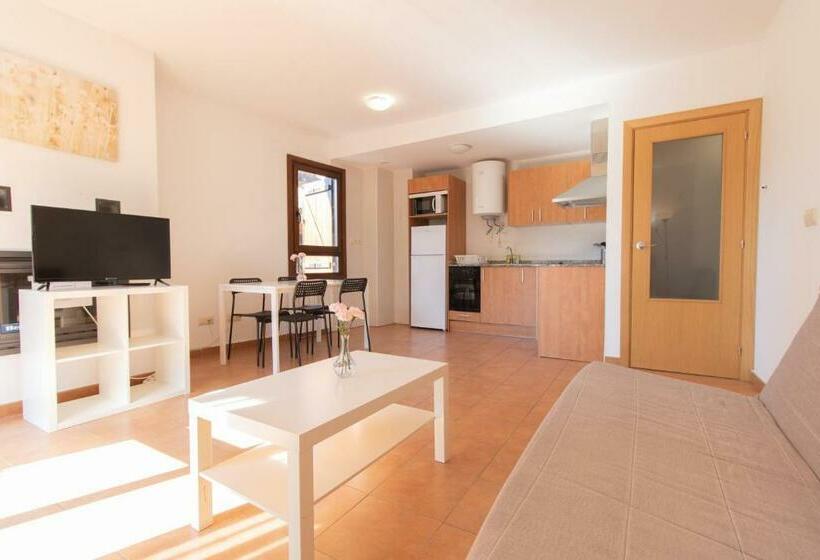 Апартаменты 1 Спальня, Apartamentos Gavín Biescas 3000