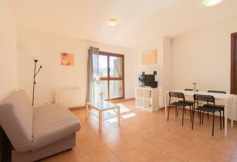 Апартаменты 1 Спальня, Apartamentos Gavín Biescas 3000