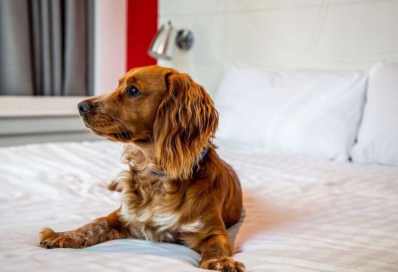 Номер Стандарт, Ibis Styles Glasgow Central