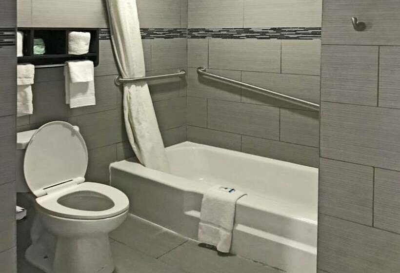 Номер Стандарт 2 Двуспальные Кровати, Rodeway Inn South