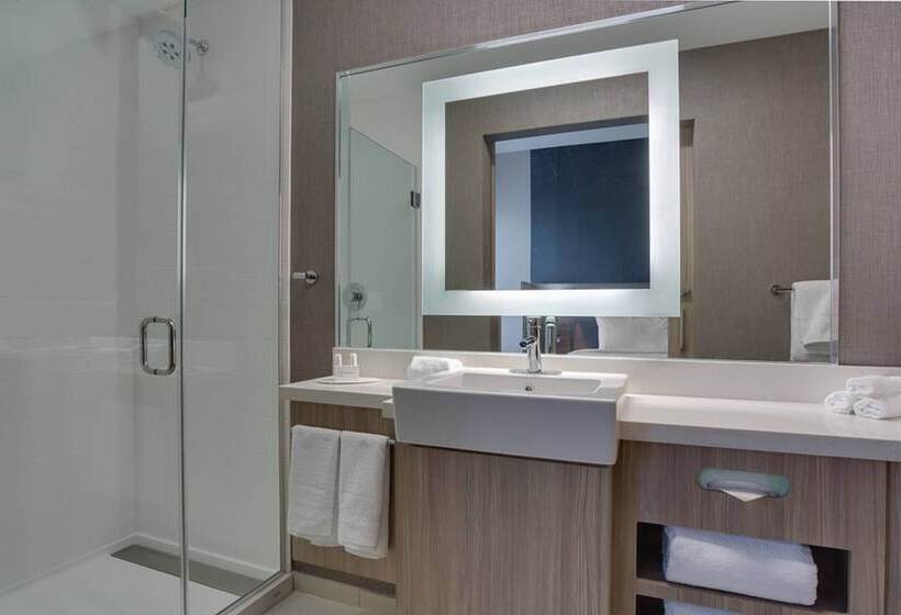 스위트, Springhill Suites By Marriott Fort Lauderdale Miramar