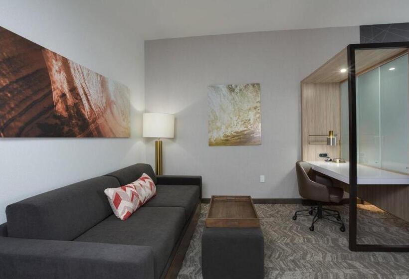 스위트 킹사이즈 침대, Springhill Suites By Marriott Fort Lauderdale Miramar