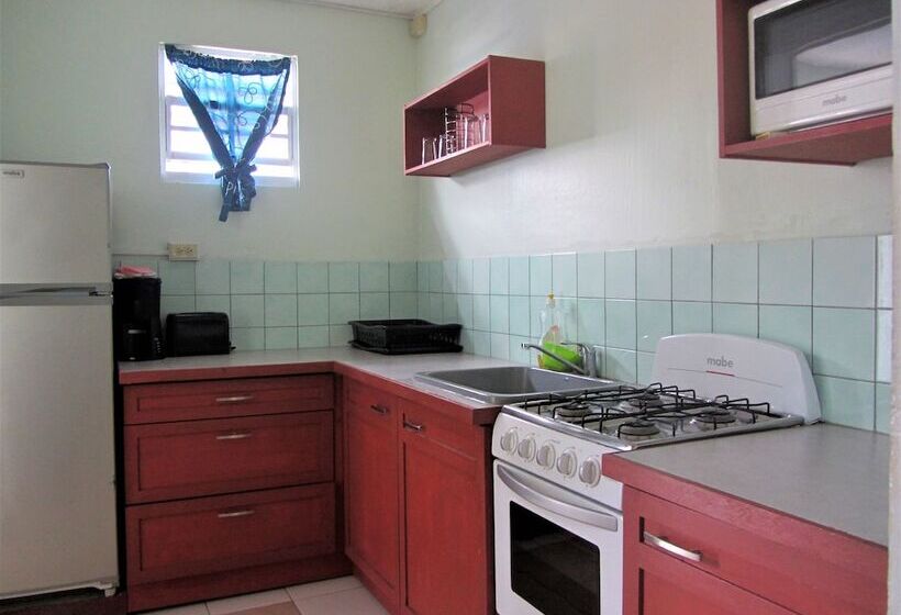 آپارتمان 1 خوابه با چشم‌انداز دریا, Miller's Guest House