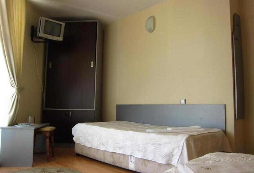 Номер Стандарт с Балконом, Family Hotel Bistritsa