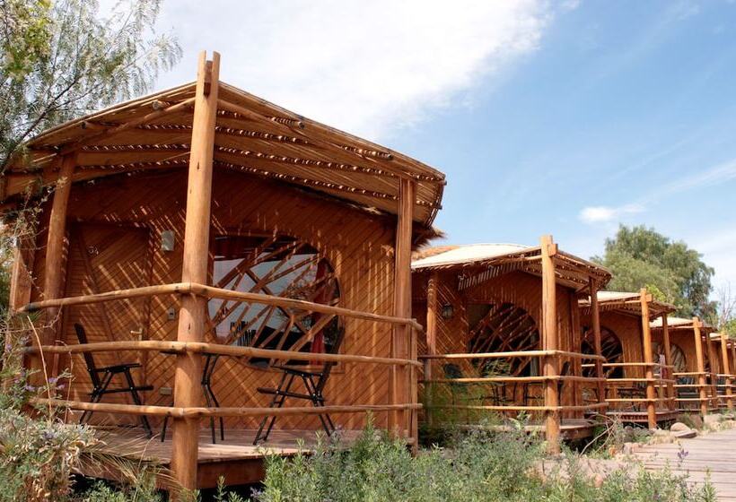 חדר סטנדרט, Poblado Kimal