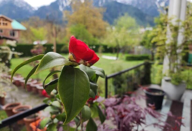 اتاق لوکس, Premier Pahalgam