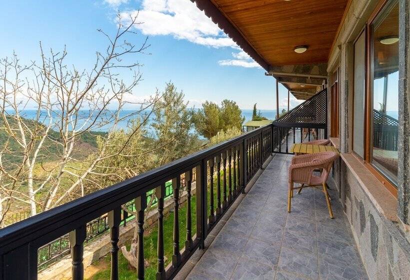 Номер Стандарт Трехместный, Assos Kartal Yuvasi