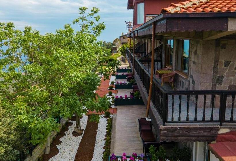 Номер Стандарт, Assos Kartal Yuvasi