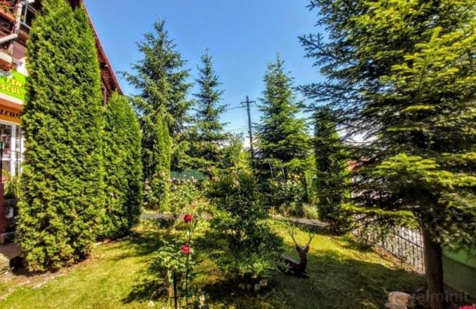 اتاق استاندارد, Pensiunea Agroturistică Piscul Soarelui