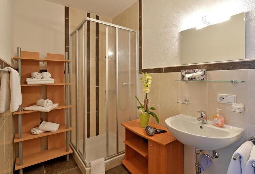 Апартаменты 1 Спальня, Pension Apartment Hödner