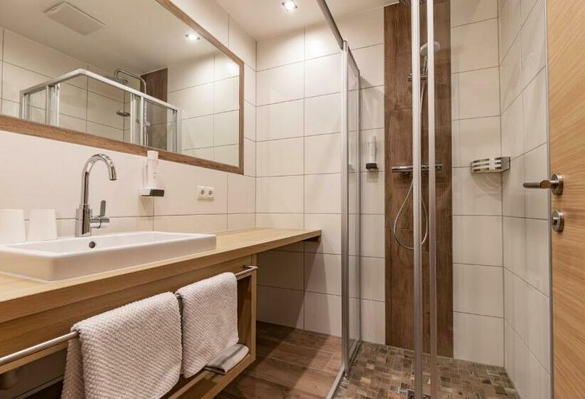 Апартаменты 1 Спальня, Das Aparthotel Olympia Tirol