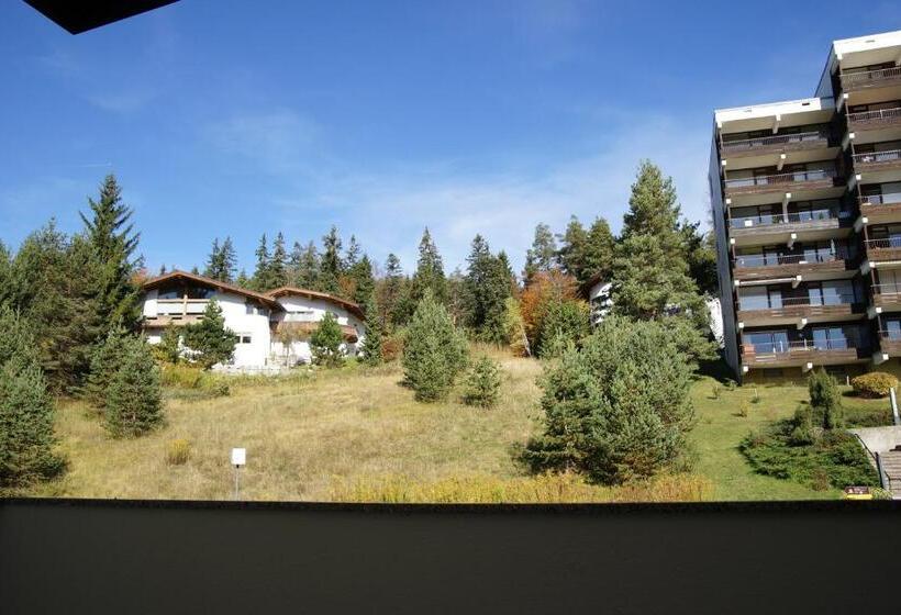 Quarto Economy, Das Aparthotel Olympia Tirol