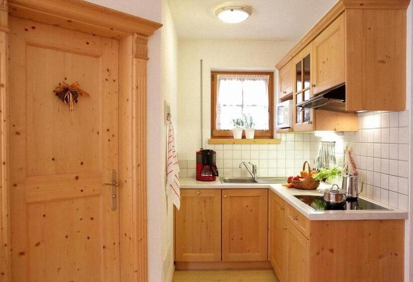 Апартаменты 1 Спальня, Dolomites Apartments Ciasa Vally