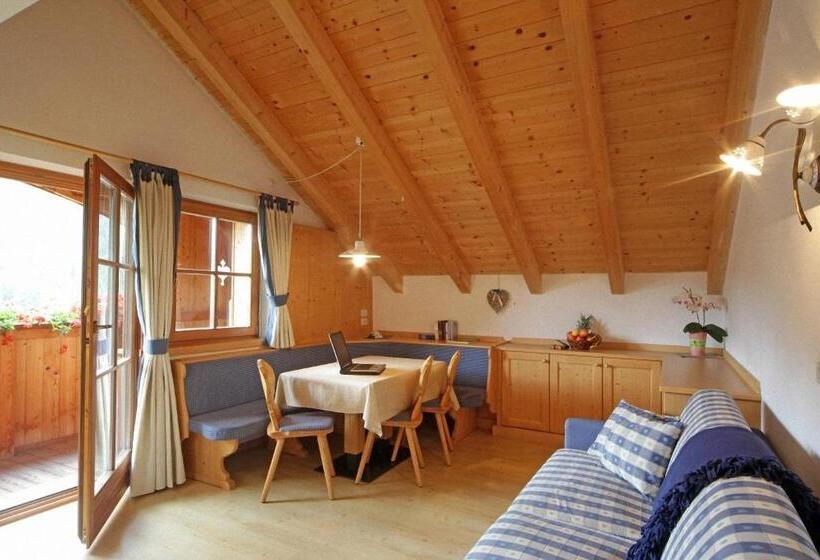 Апартаменты Superior 1 Спальня, Dolomites Apartments Ciasa Vally