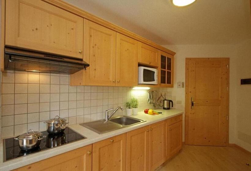 Апартаменты 1 Спальня, Dolomites Apartments Ciasa Vally