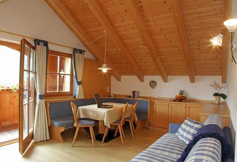 Апартаменты Superior 1 Спальня, Dolomites Apartments Ciasa Vally