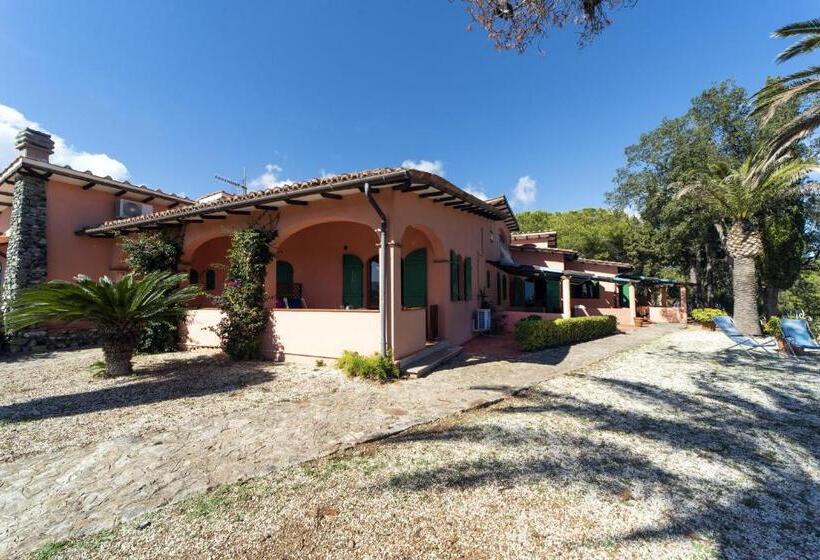 استودیو استاندارد با بالکن, Gavila's Residenza Turistico Alberghiera