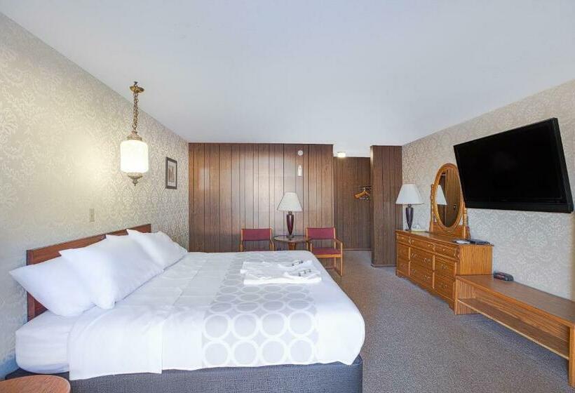 带大床的标准间, Love Hotels Tomahawk At Lake Mohawksin Wi